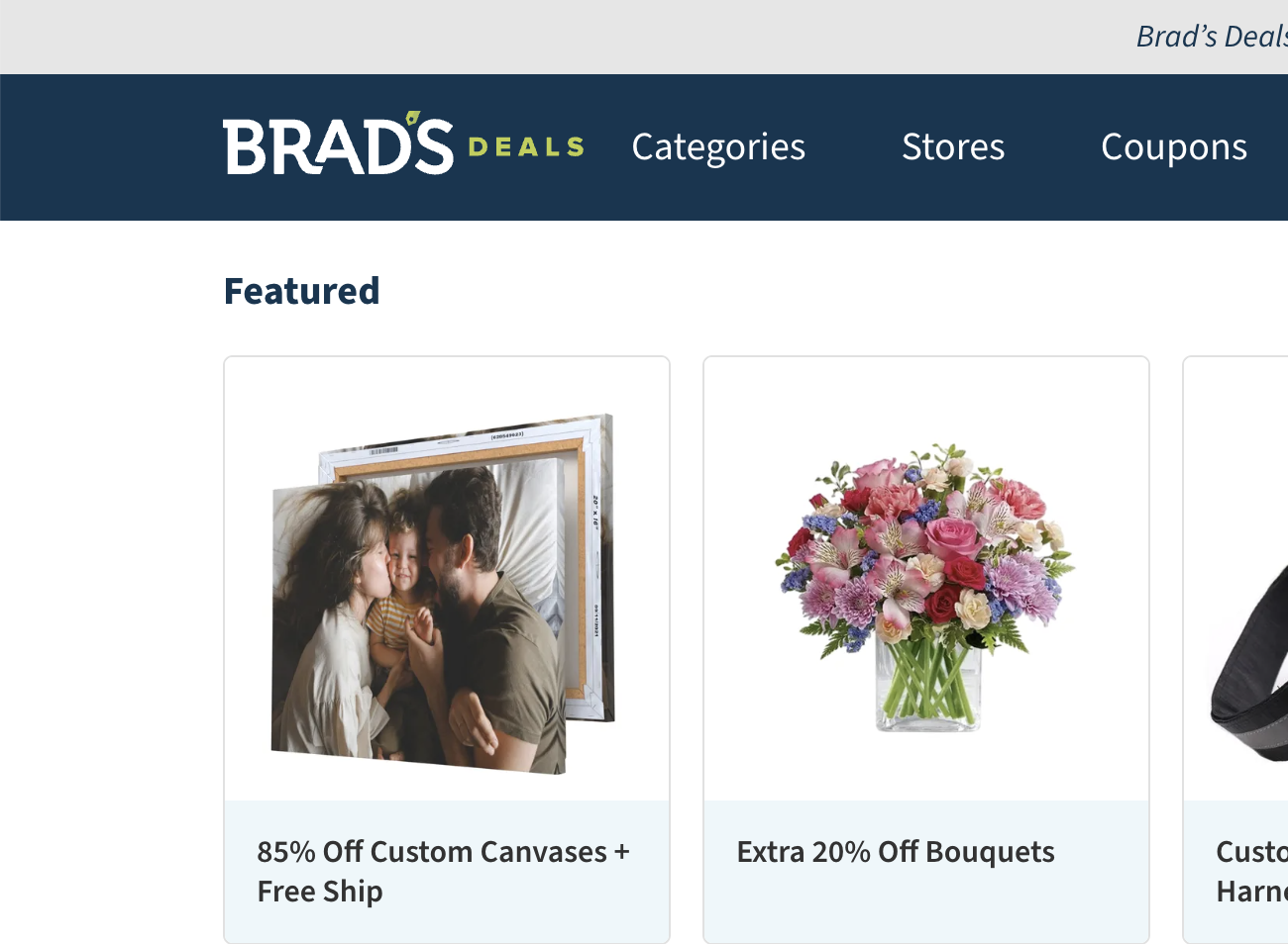 Brad's Deals case study